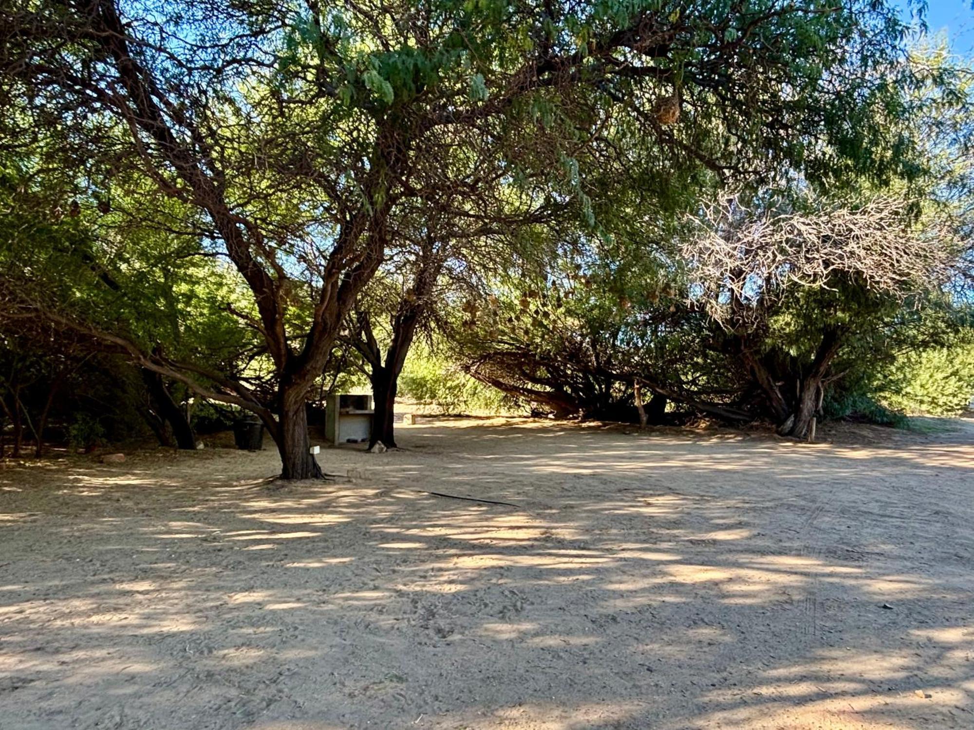 Enjo Nature Farm Clanwilliam Exterior foto